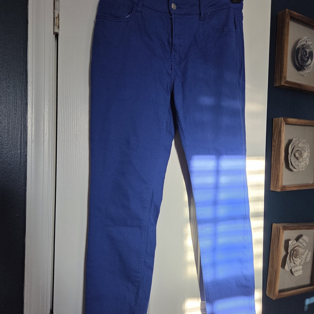 Vibrant Blue Pants